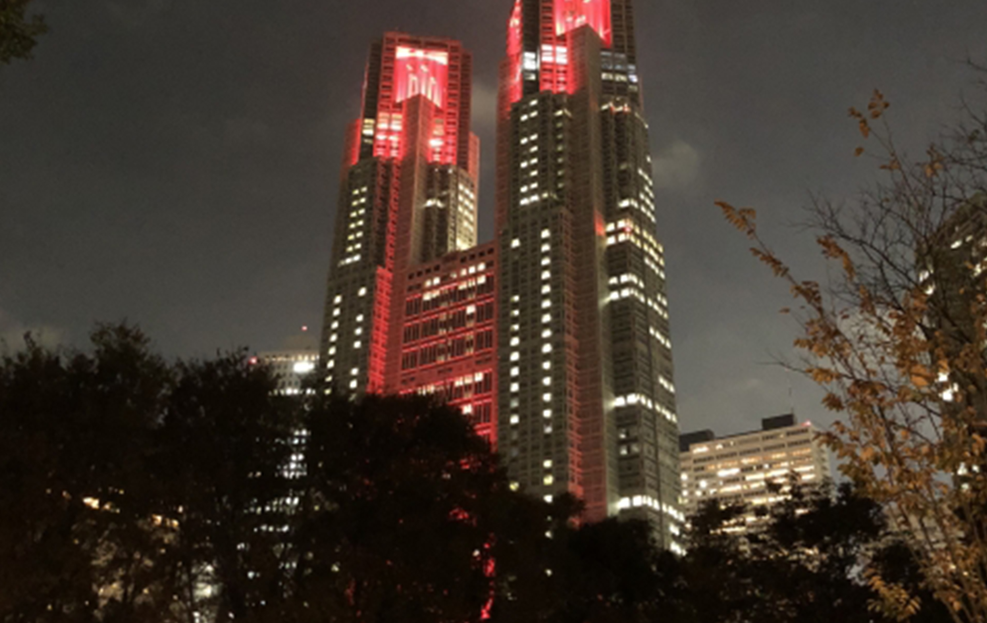 新宿中央公園